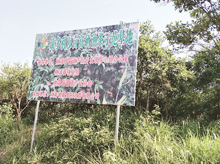 伟德国际(BetVictor)官方网站-源自英国始于1946