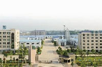 伟德国际,油茶莳植生产加工销售,植物油莳植生产加工销售