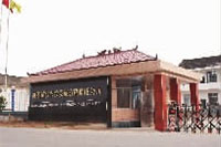 伟德国际,油茶莳植生产加工销售,植物油莳植生产加工销售