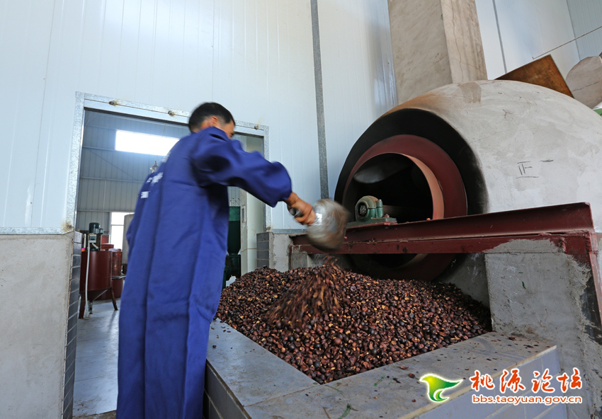 伟德国际,油茶莳植生产加工销售,植物油莳植生产加工销售