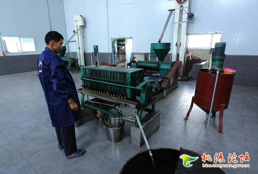 伟德国际,油茶莳植生产加工销售,植物油莳植生产加工销售