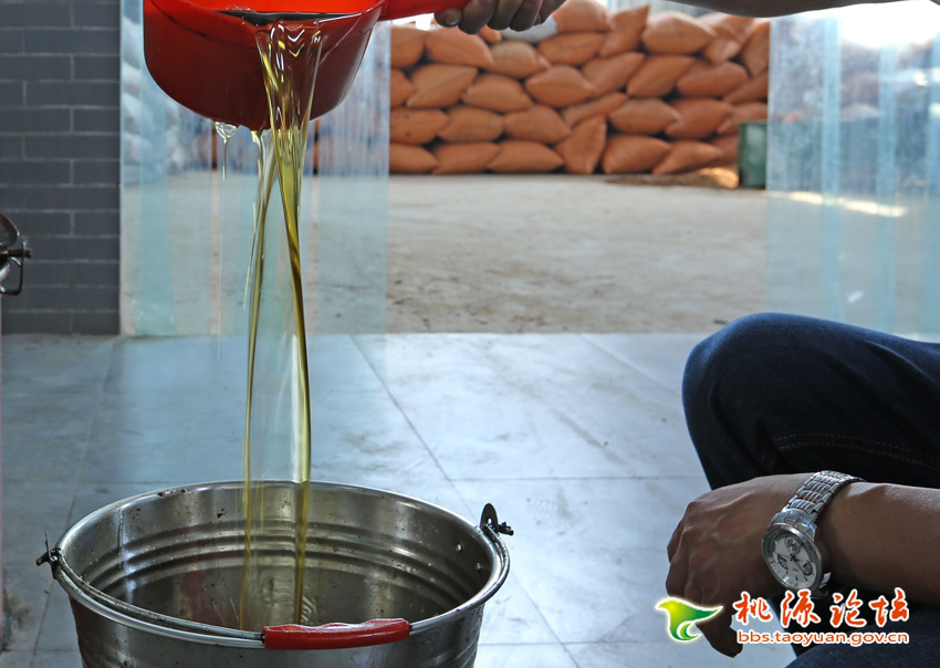 伟德国际,油茶莳植生产加工销售,植物油莳植生产加工销售