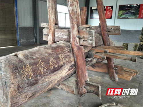 伟德国际,油茶莳植生产加工销售,植物油莳植生产加工销售