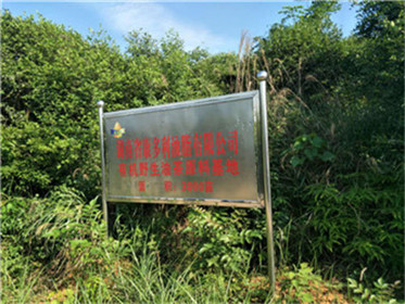 伟德国际,油茶莳植生产加工销售,植物油莳植生产加工销售