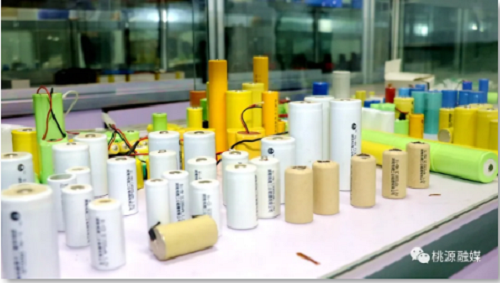 伟德国际,油茶莳植生产加工销售,植物油莳植生产加工销售